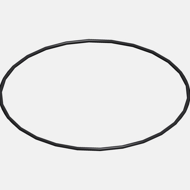 O-ring