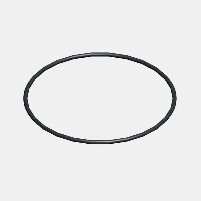 O-ring