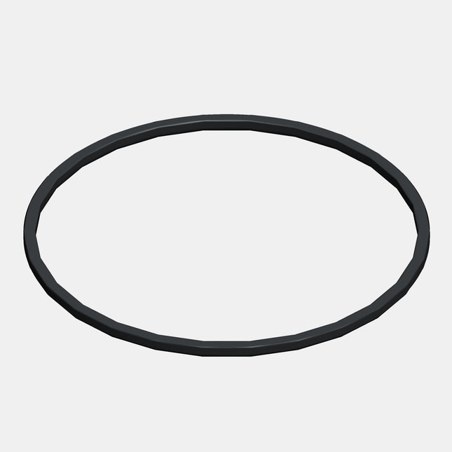 O-ring