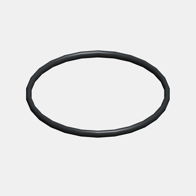 O-ring