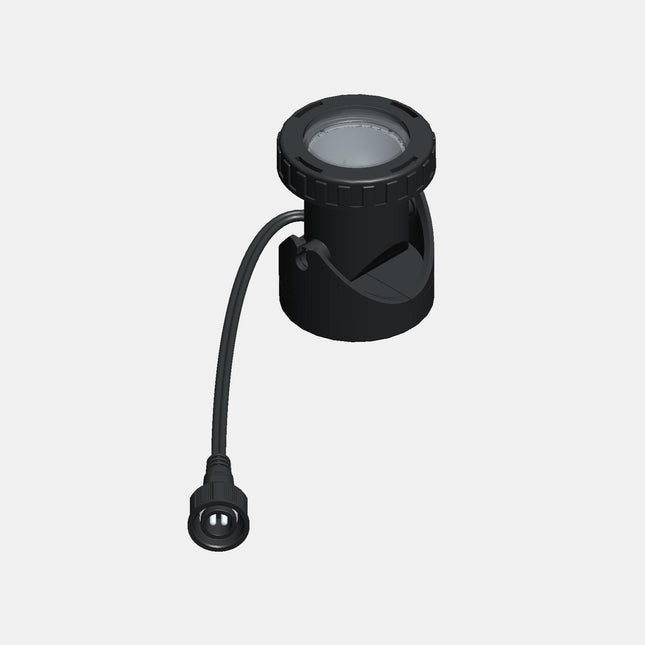 Light with Double Prong